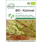 SAFLAX Kümmel BIO Kümmelsamen von Saflax
