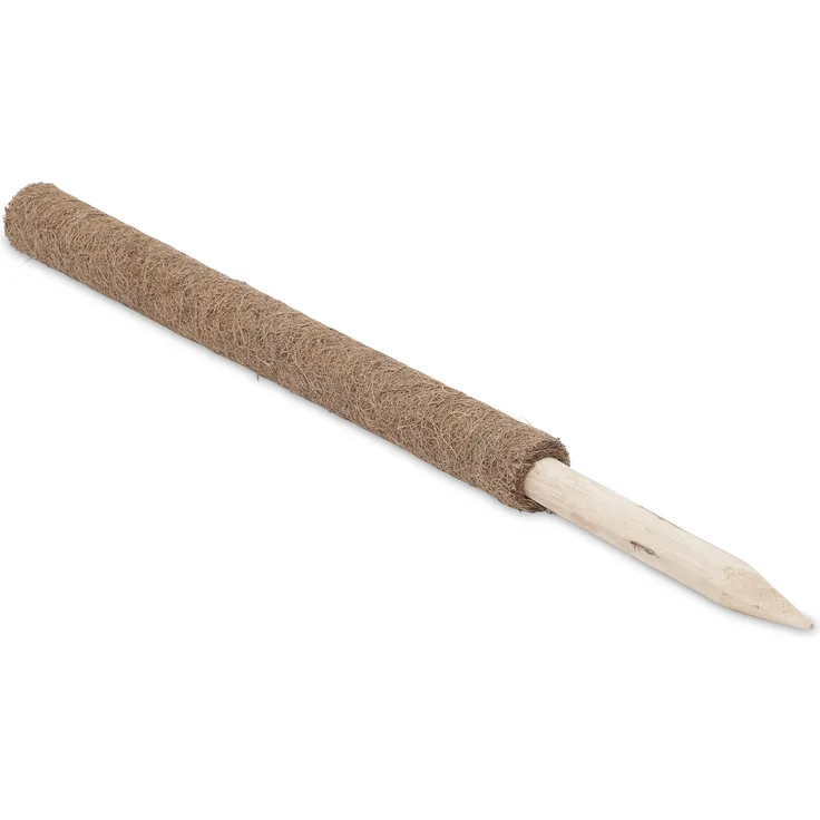 Windhager Pflanzstab Kokos, Rankstab Rankhilfe Blumenstab Kokosstab, zur Dekoration, aus natürlicher Kokosfaser, verlängerbar, 60 cm, 05660