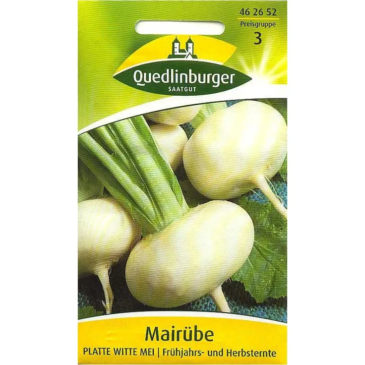 QUEDLINBURGER Mairübe, Platte witte (Flache weiße)