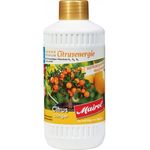 Ballistol Mairol Citrusdünger Citrusenergie 1000ml Düngemittel