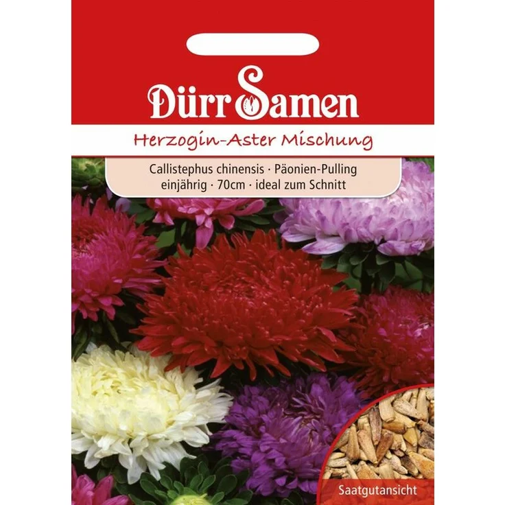 DÜRR-SAMEN Dürr-samen - Herzoginaster Mischung | Herzoginasternsamen  – Bild 1