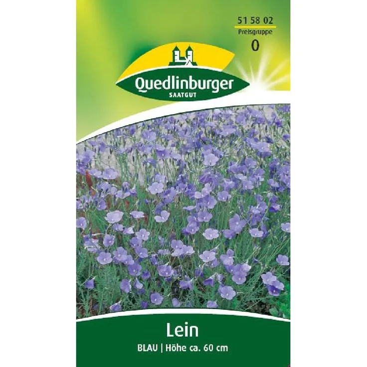 QUEDLINBURGER Staudenlein, Blau