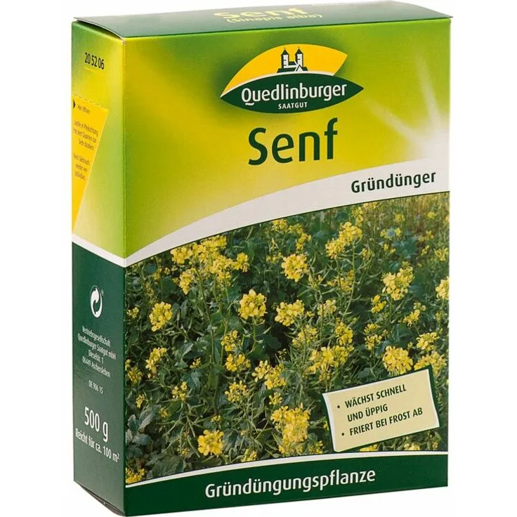 QUEDLINBURGER SAATGUT Quedlinburger Saatgut - Senf 500 g Gründünger