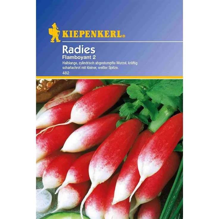 Kiepenkerl Radies Flamboyant2