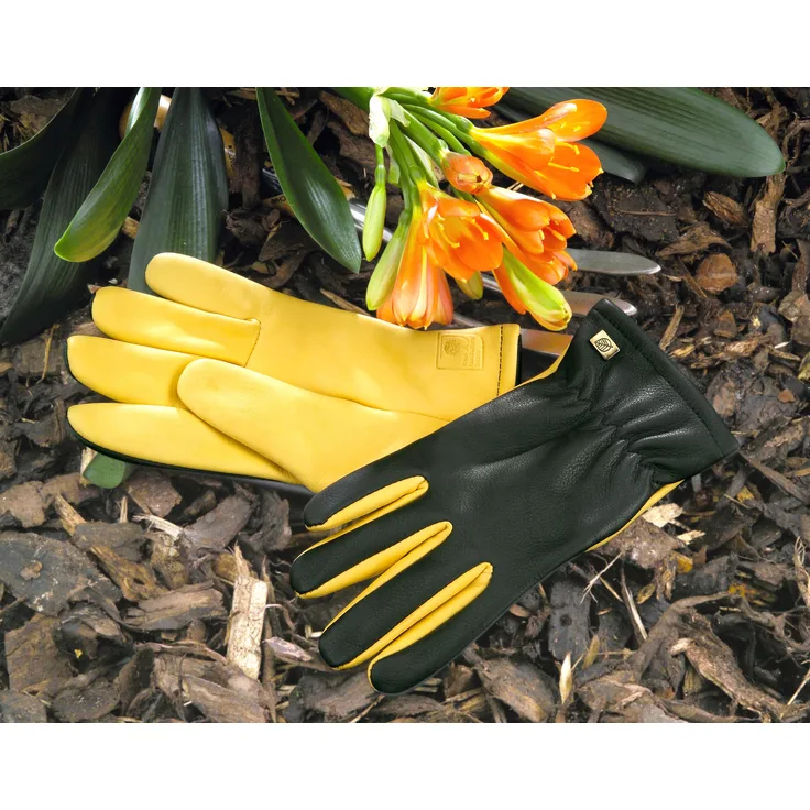 WAGNER Gold Leaf Gloves - Dry Touch - Damen - Gartenhandschuhe der Extraklasse, Rindsleder-Wasserabweisende Spezialimprägnierung-HTC Auszeichnung - 25302100