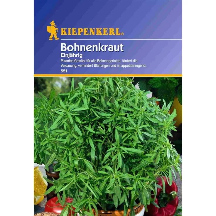 Kiepenkerl Bohnenkraut Cyrano einjährig