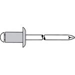 Gesipa Blindniete Alu-Stahl 6 x 12 Flachrundkopf mm, 250 Stück, (1454062) Blindniettechnik, Grau