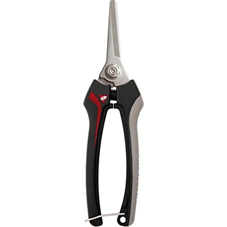 Bellota INOX- MB 3621 Traubenschere aus Edelstahl mittelgroß