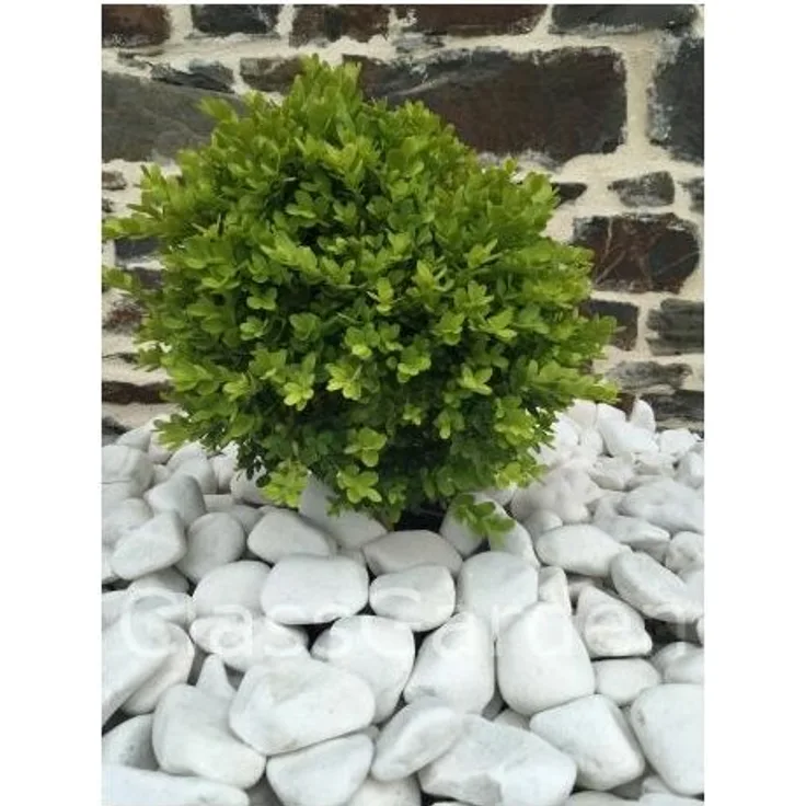 Kaliber Pure White Pebble 40-60 mm Packung mit 10 M² 50 Beuteln