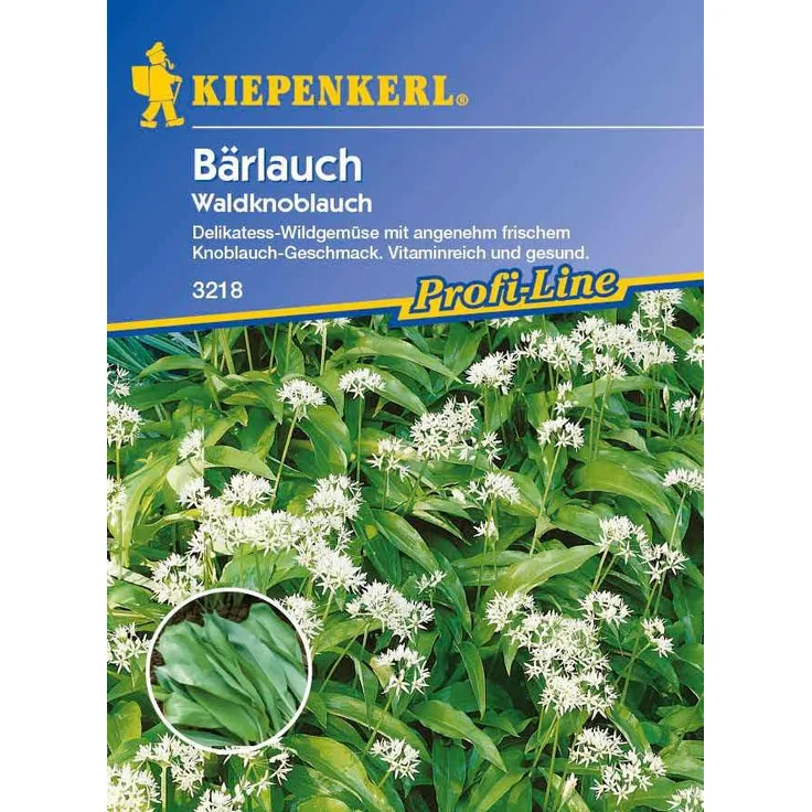 Kiepenkerl Bärlauch Waldknoblauch Allium ursinum