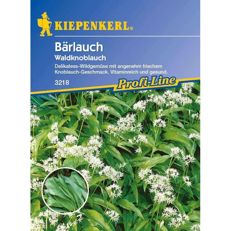 Kiepenkerl Bärlauch Waldknoblauch Allium ursinum