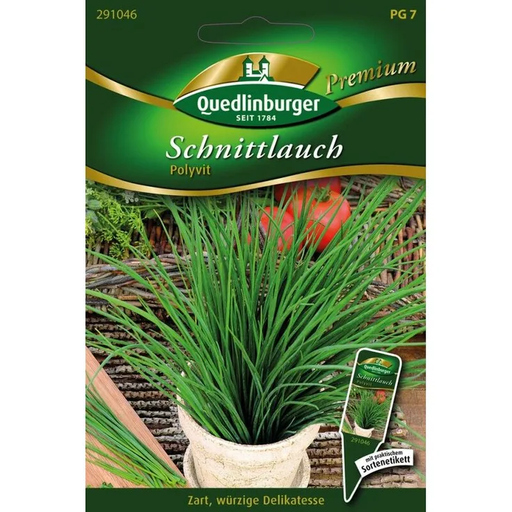 QUEDLINBURGER SAATGUT Schnittlauch Polyvit Schnittlauchsamen