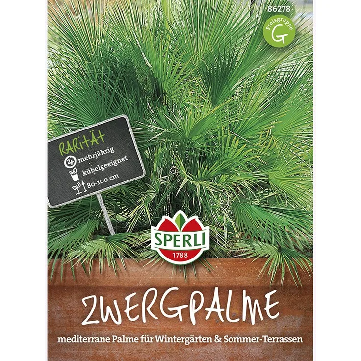 Sperli Zwergpalme SPERLING`s Tropenzauber