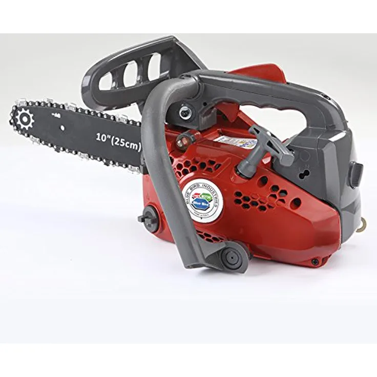 Blue Bird CS 250, Rot