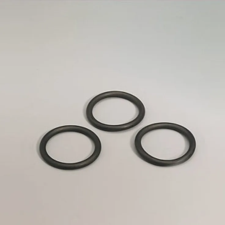 Gloria O-Ring für Pumpe (Ø 38x5) Typ 706400.0000