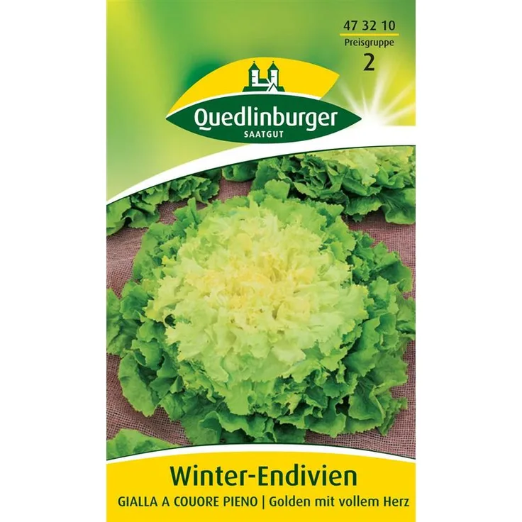 QUEDLINBURGER Winter-Endivien Gialla a cuore pieno