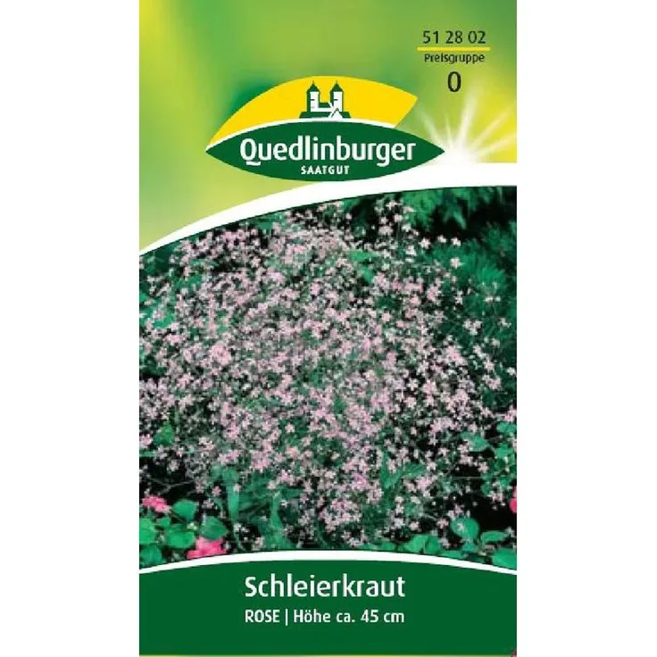 QUEDLINBURGER Schleierkraut, Rose