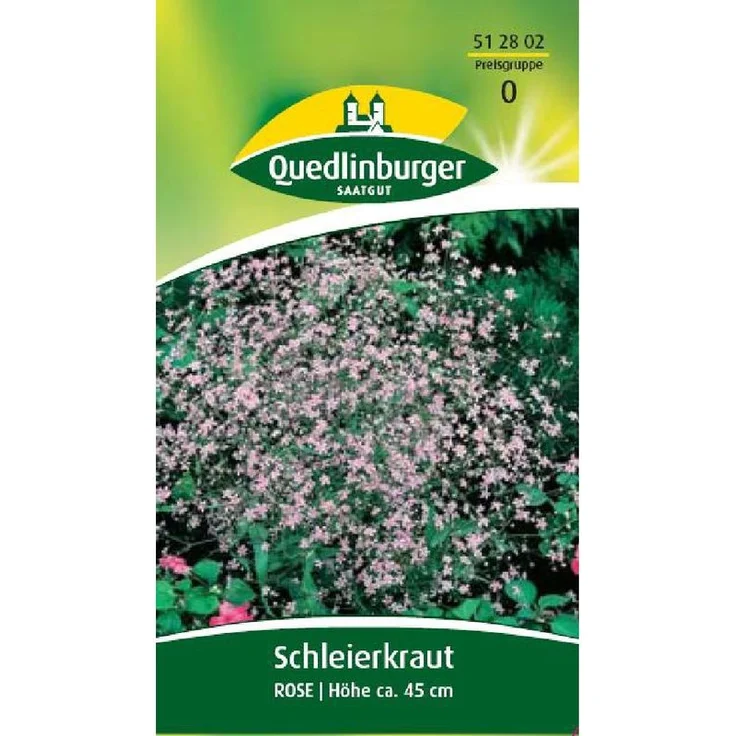 QUEDLINBURGER Schleierkraut, Rose