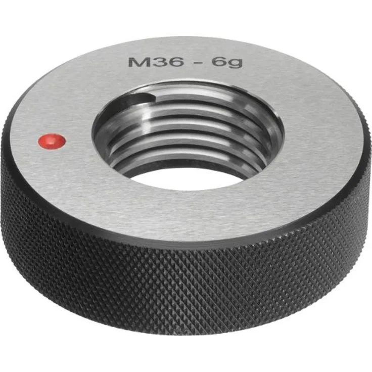 Fortis Aussch.-Gew.-Lehrring M8 6g