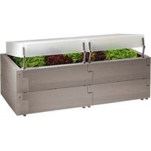 Hagebau Zimmergewächshaus Zimmergewächshaus "Jumbo" XXL Ideal Für Die Anzucht Gewächshaus Klein