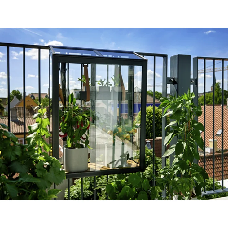 Gewächshaus, B x L x H: 60 x 27 x 79 cm, Aluminium