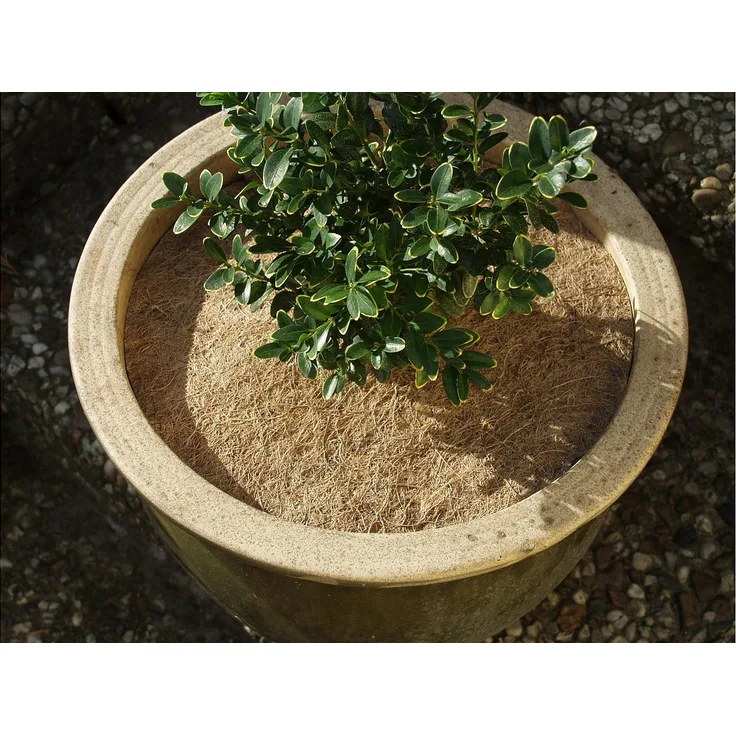 NOOR Kokosscheibe , Ø 25 cm, 4 Stück