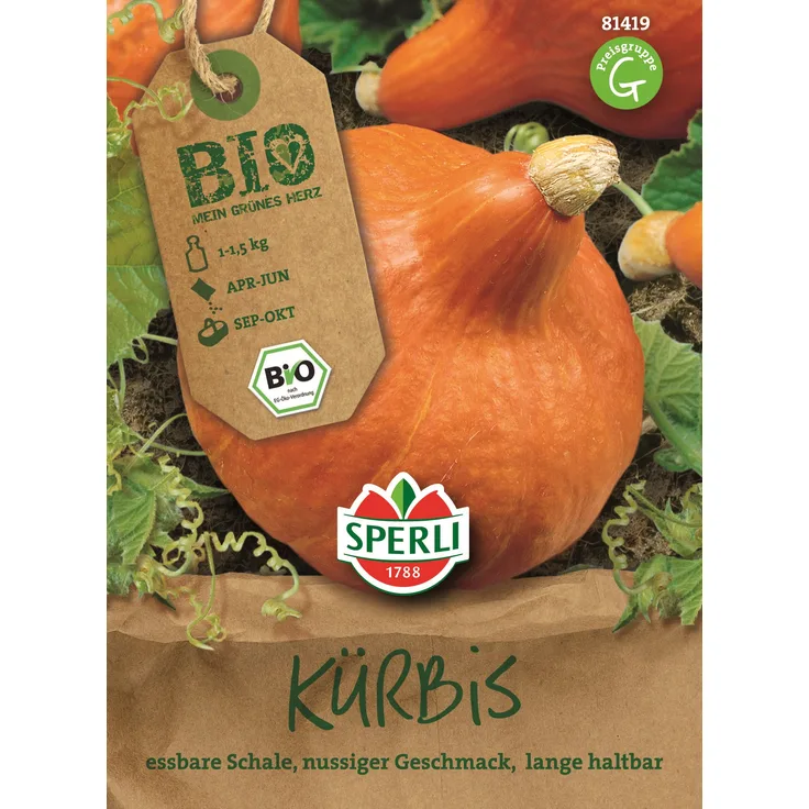 Sperli Kürbis Hokkaido-Typ BIO
