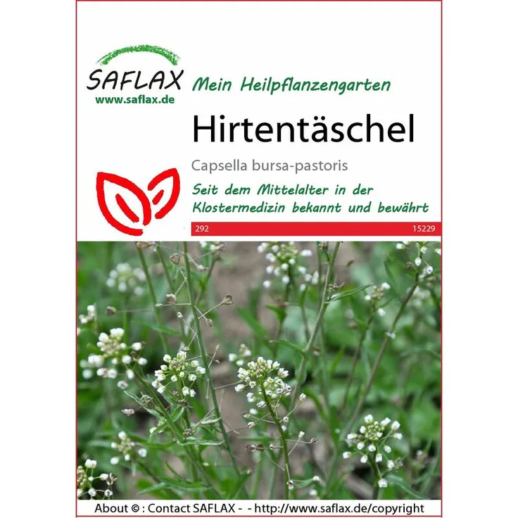 SAFLAX Hirtentäschel Wildblumensamen von Saflax