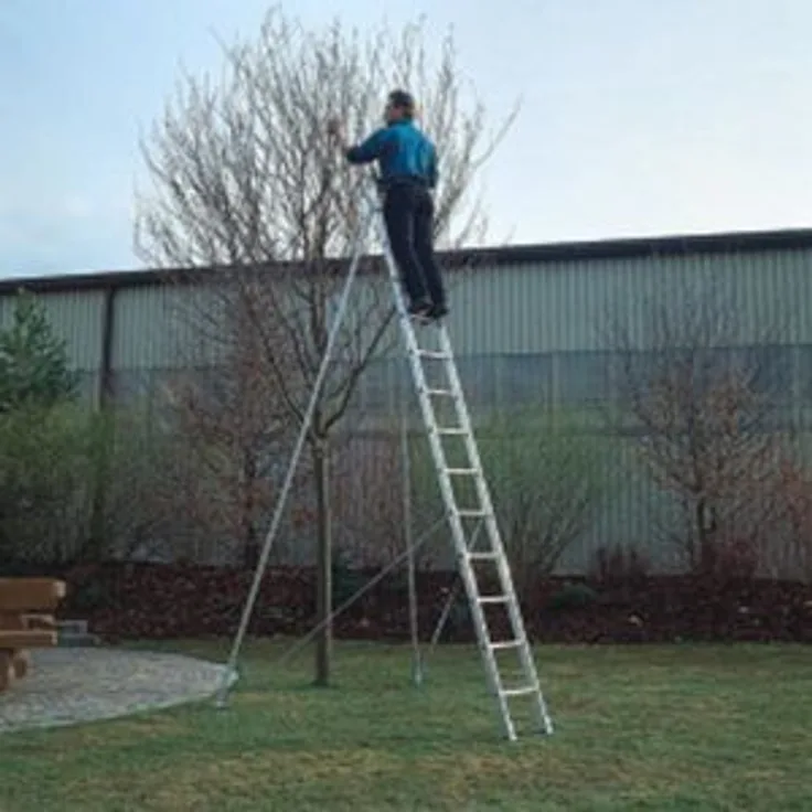 GÜNZBURGER STEIGTECHNIK Obstbaumstützen für Leitern 10010?