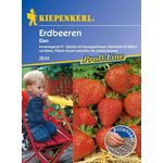 Kiepenkerl Erdbeeren Elan Pillensaat