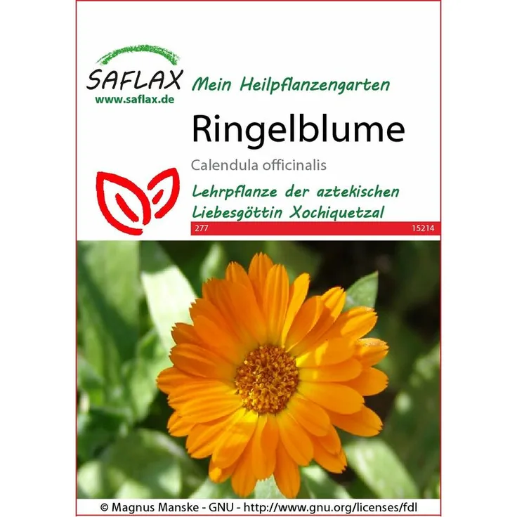 SAFLAX Ringelblume Ringelblumensamen von Saflax