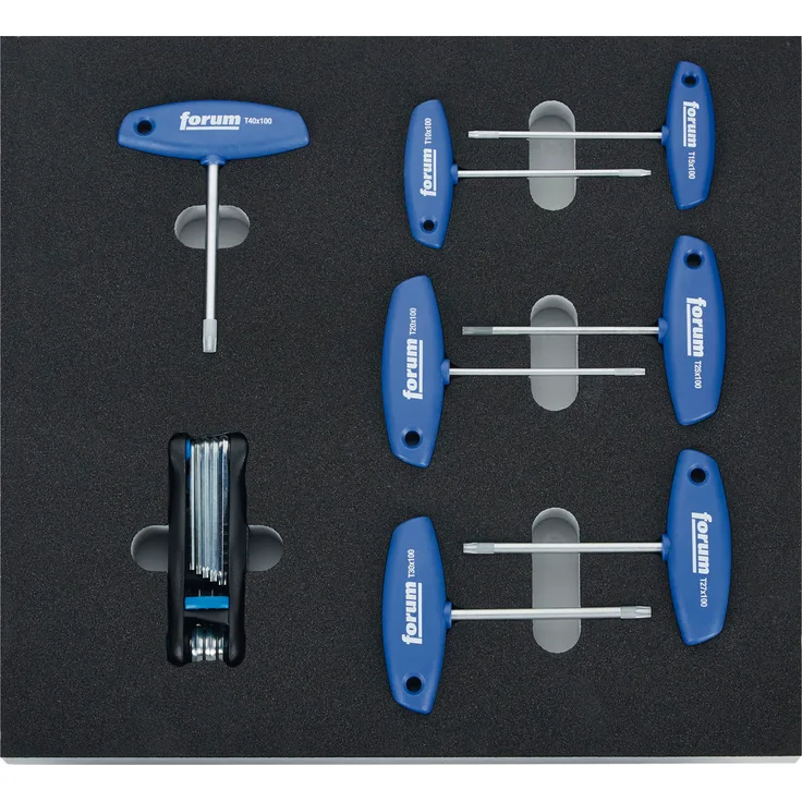 FORUM Modul 2017 2-3 Quergriff Torx