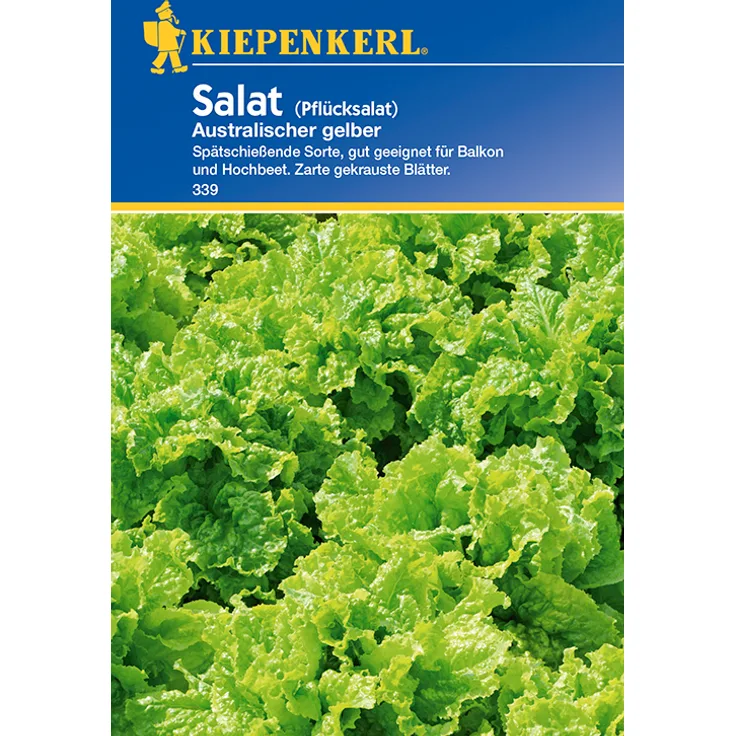 Kiepenkerl Salat Australischer gelber