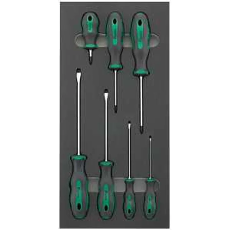 Fortis Werkzeugmodul 1-3 Schraubendreher Schlitz PH
