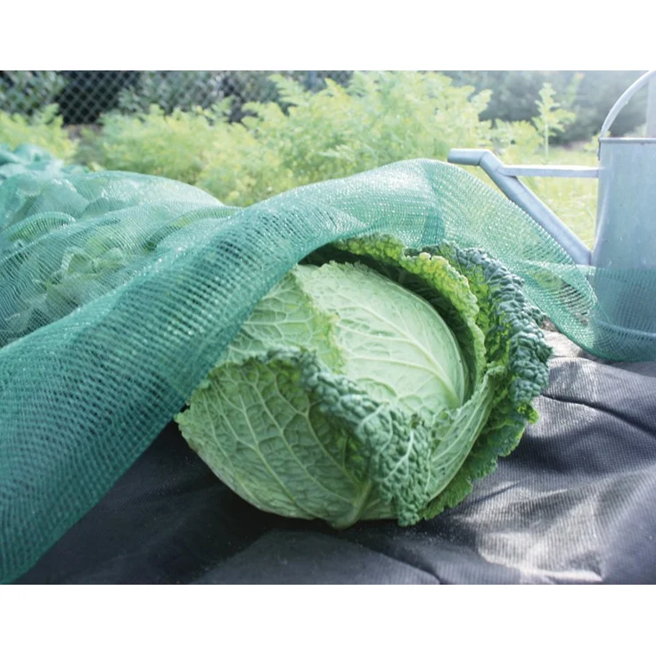 Siena Garden Insektenschutz- und Schattiernetz Insekt.schutznetz 1,4x5m