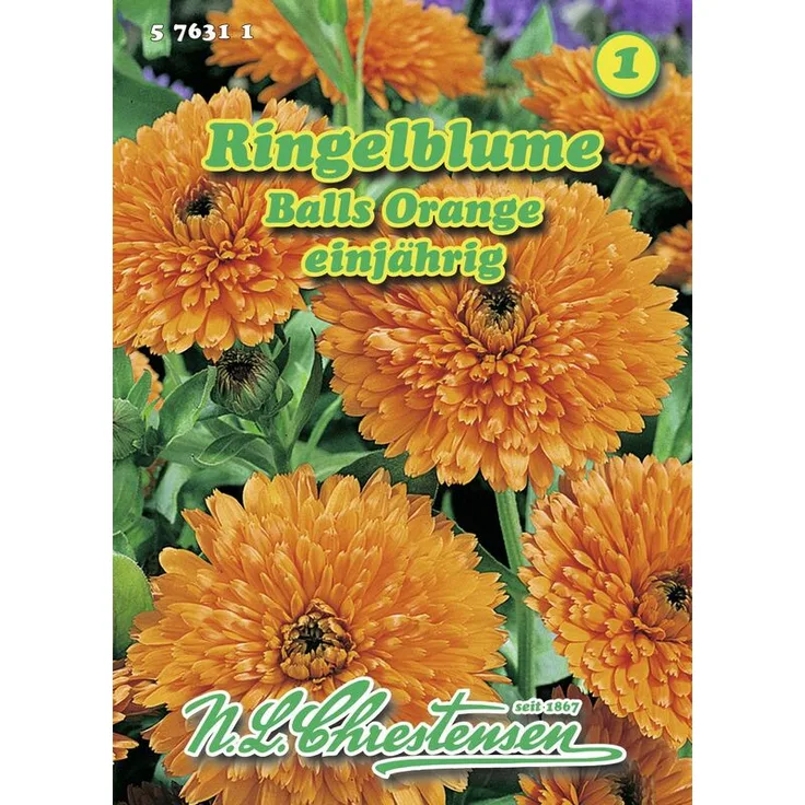 N.L. CHRESTENSEN Ringelblume Balls Orange Ringelblumensamen 