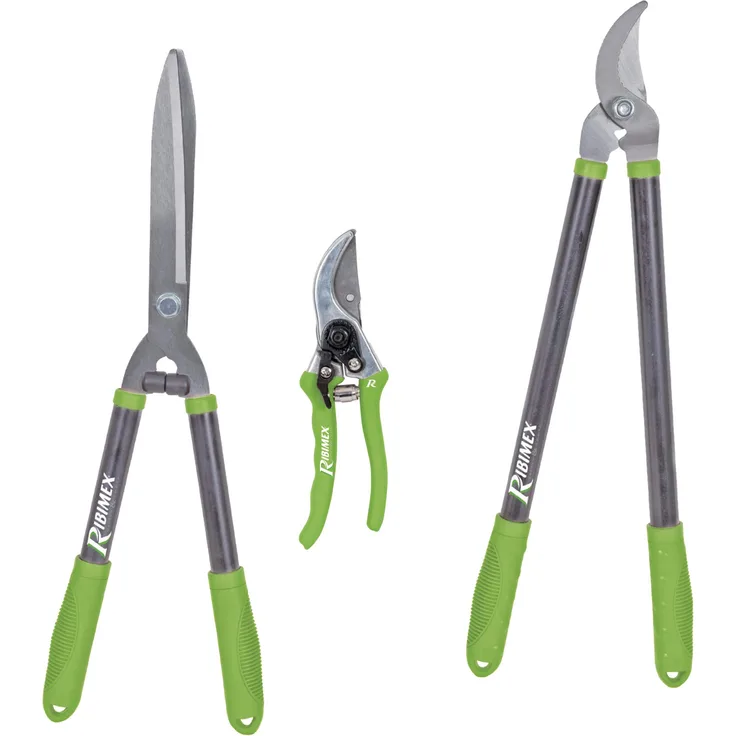 Ribimex Ribimex PRSMCHBX3 Scheren-Set 3-teilig, grün-grau mittelgroß