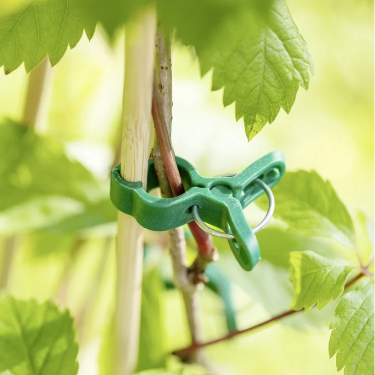 Windhager Pflanzenclips MINI 15 Stk., grün – Bild 3