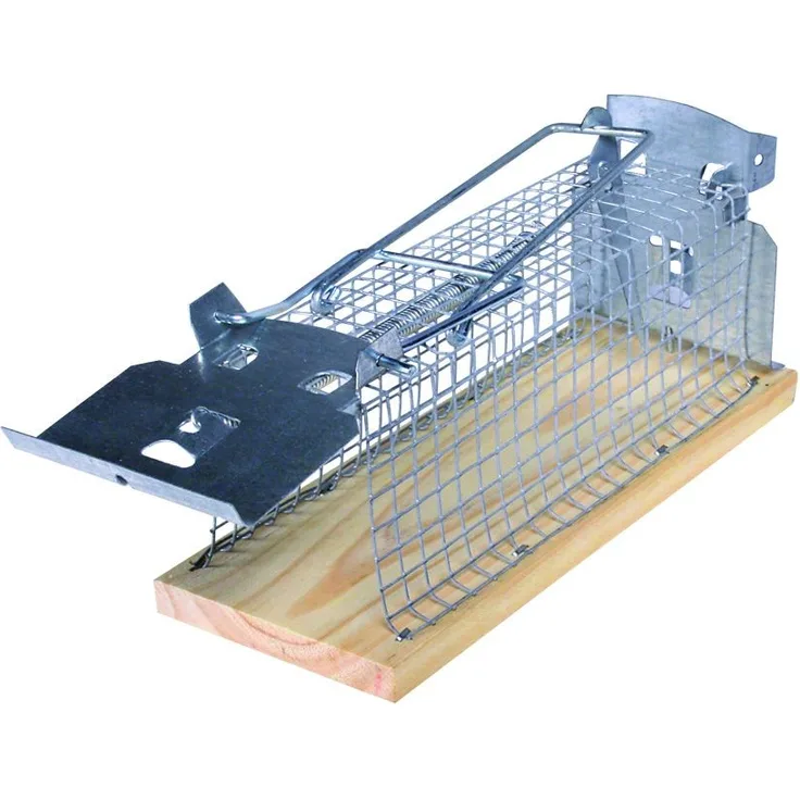 Swissinno Holz-Mauskäfig 