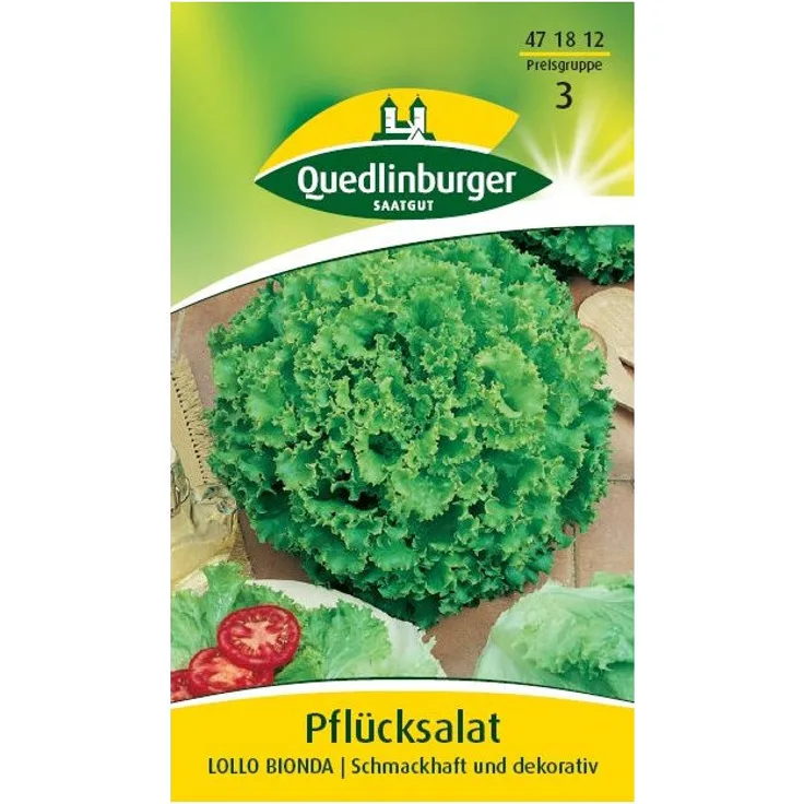 QUEDLINBURGER Pflücksalat, Lollo bionda