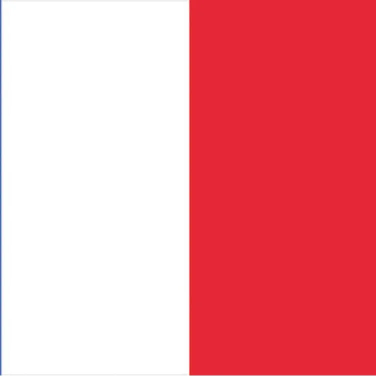 EUROPALMS 83300520 Flag, France, 600 x 360 cm, Mehrfarbig, Einheitsgröße