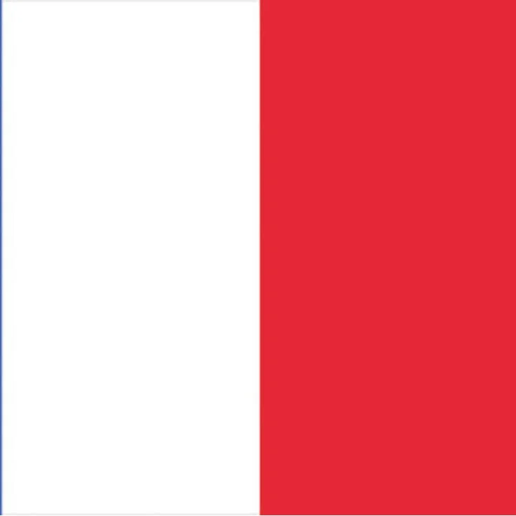 EUROPALMS 83300520 Flag, France, 600 x 360 cm, Mehrfarbig, Einheitsgröße