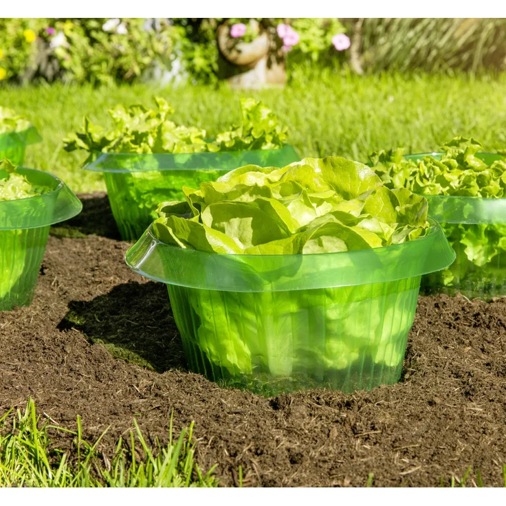 Windhager Schnecken-Schutzring 6 Stk. – Bild 2