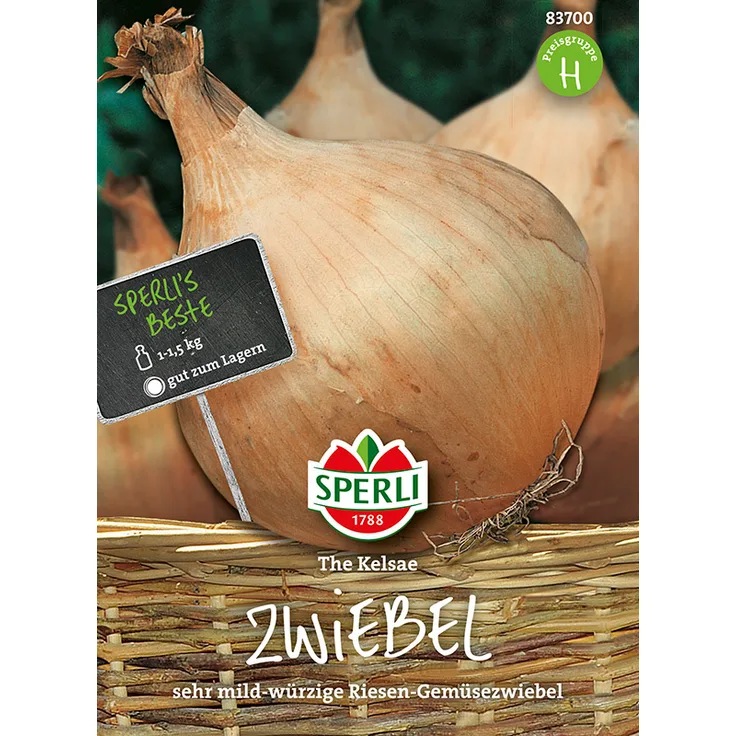 Sperli Zwiebel The Kelsae