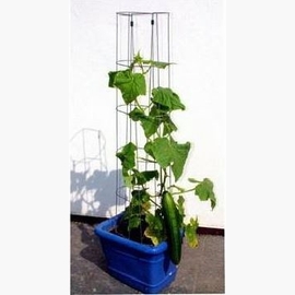 BODO Staudenhalter Kugelrund – 40 Cm Durchmesser, 95 Cm Hoch – Robuste Rankhilfe Aus Vollmetall