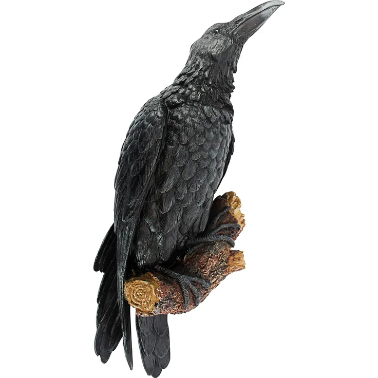 Design Toscano Der Halloween-Rabe Gothic-Dekor Wandskulptur, Polyresin, vollfarbe, 46 cm