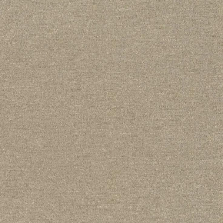 rasch Tapete 449815 aus der Kollektion Florentine II ? Einfarbige Vliestapete in Braun ? 10,05m x 53cm (L x B)