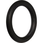 Pentair 777070119 Coil tubesheet Abdichtung O-Ring Ersatz-Kit für Pool und Spa Heizung