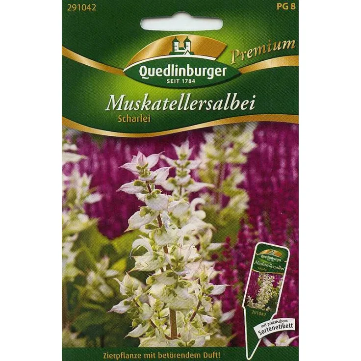 QUEDLINBURGER Muskatellersalbei
