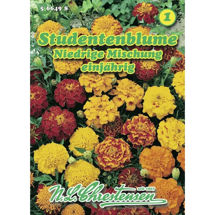 N.L. CHRESTENSEN Studentenblume Niedrige Mischung Studentenblumensamen 